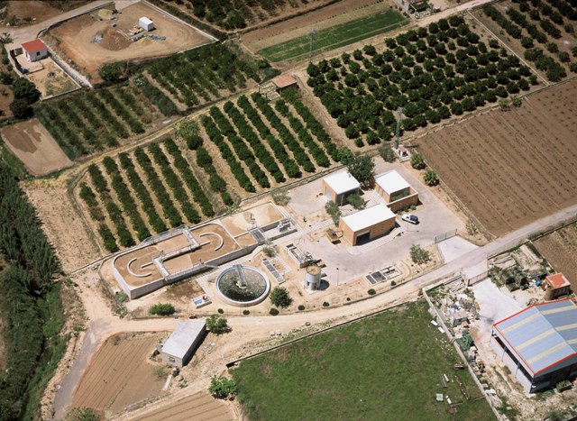 llosa