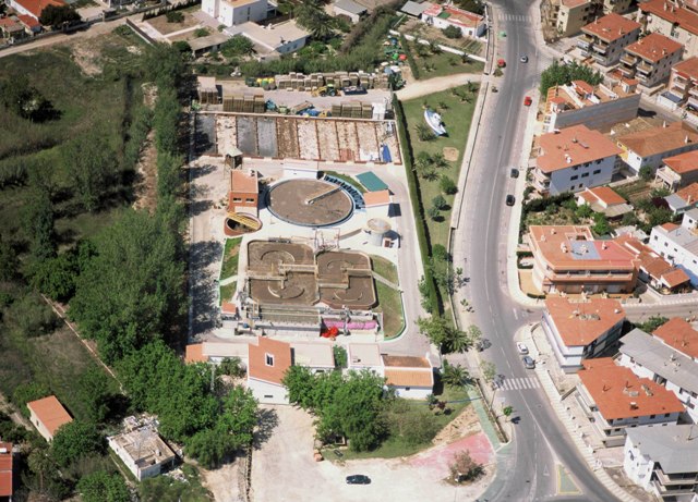 Oliva