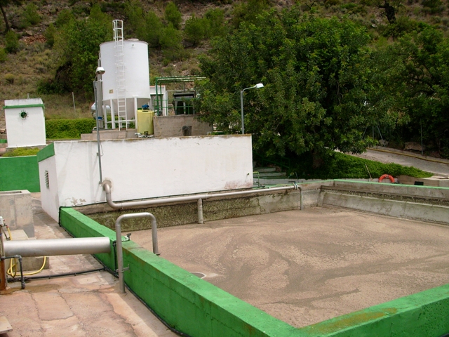olocau