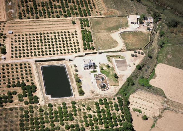 pedralba
