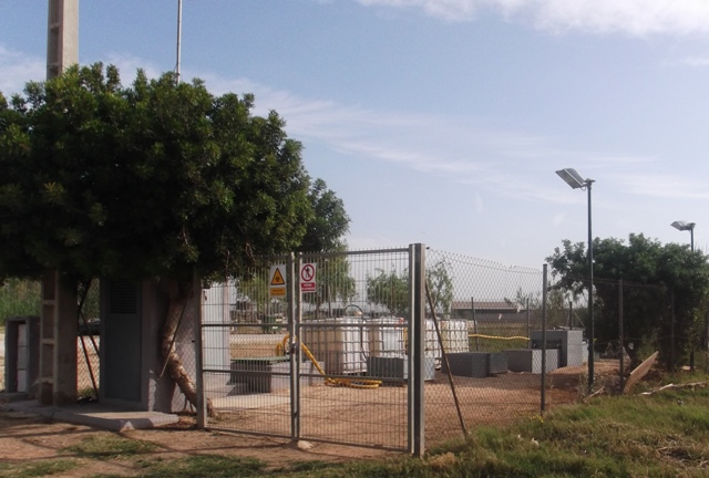 pinedo