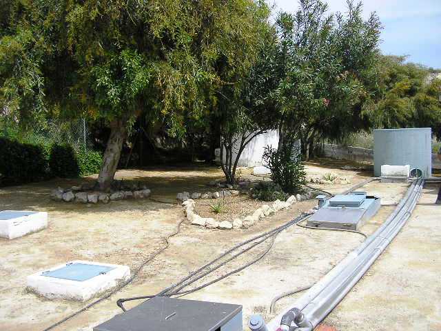 Lanuza