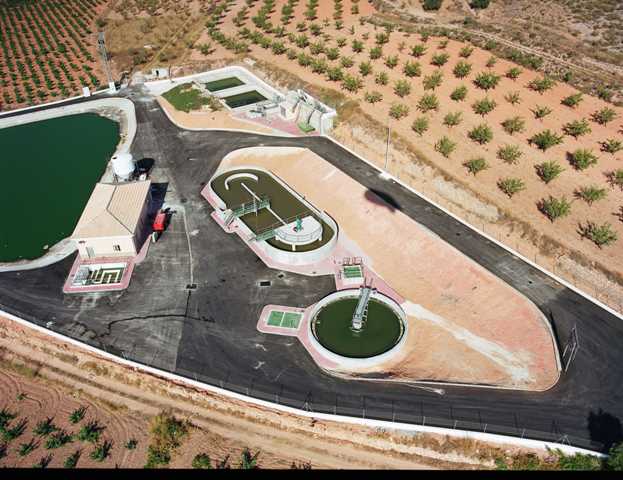 Algueña